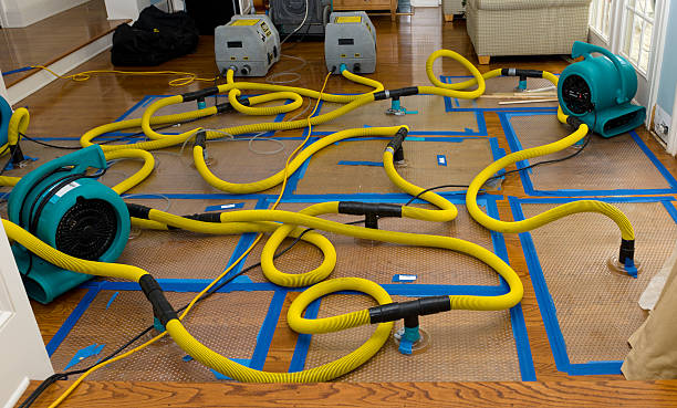 Professional Burst Pipe Water Damage technician working in Riverview, MI