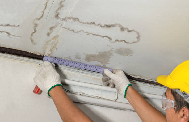 Affordable Water Damage Repair solutions in Riverview, MI